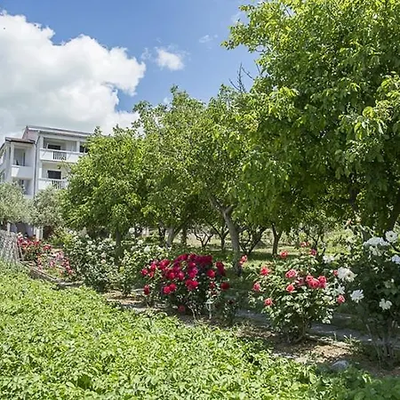 Appartamento In With Sea View, Balcony, Air Conditioning, Wifi *